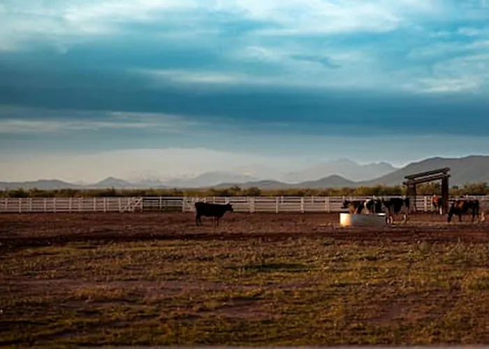 Fantastic Secluded Dome With Magnific Desert Views In Willcox, Arizona